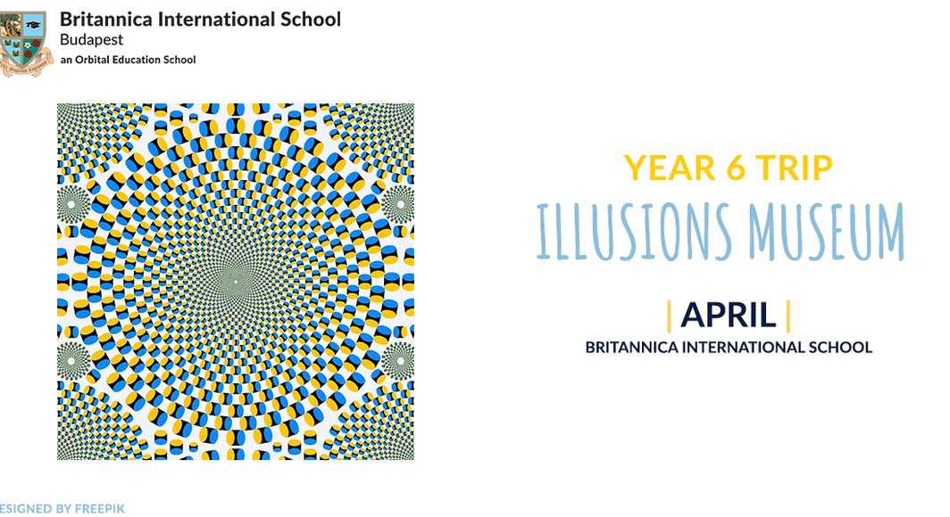 220405 Y6trip Illusions Museum