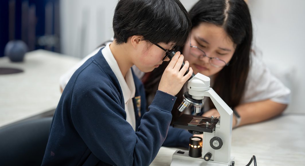 2025 03 11 13 45 40 A7501198 2