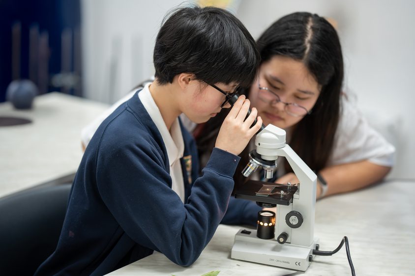 2025 03 11 13 45 40 A7501198