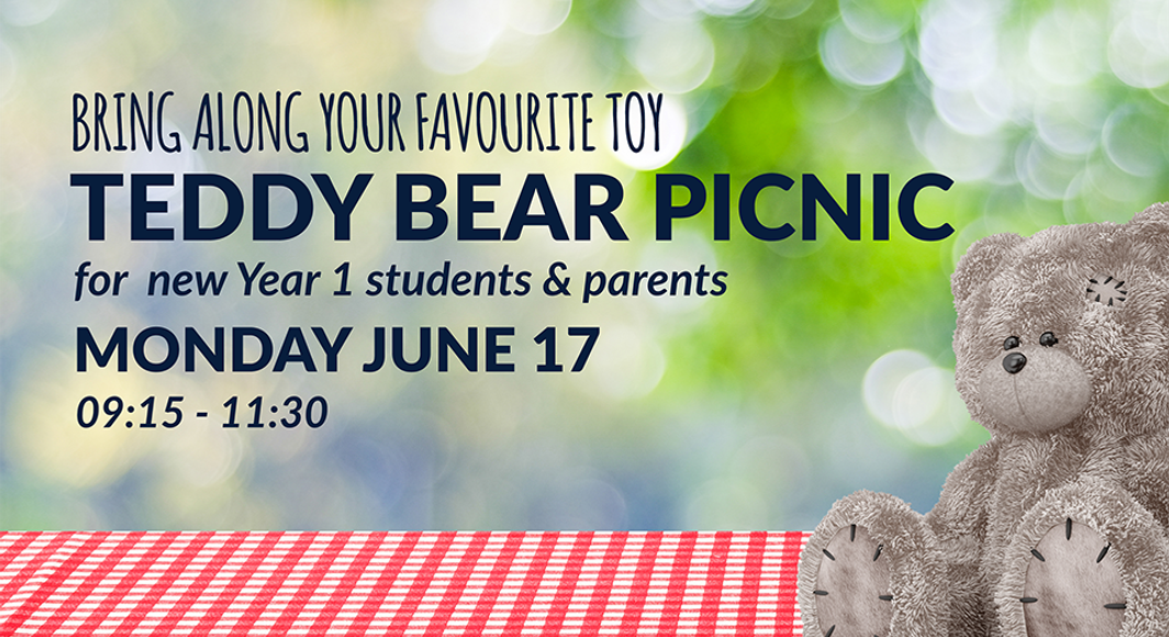 Teddy Bear picnic 2024