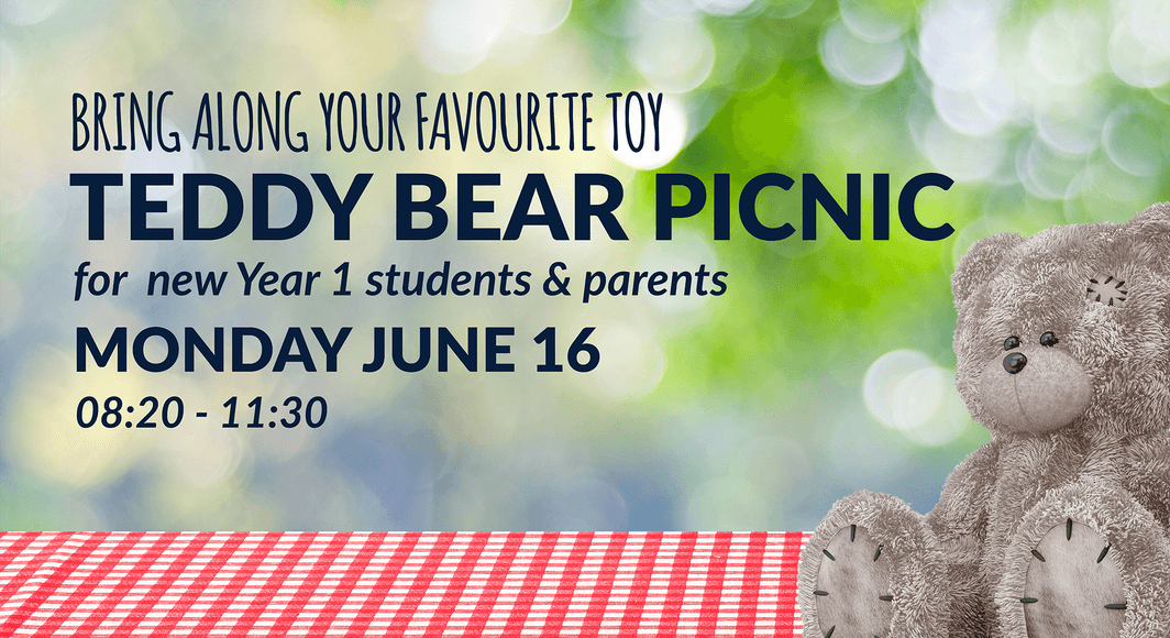 Teddy Bear picnic 2025