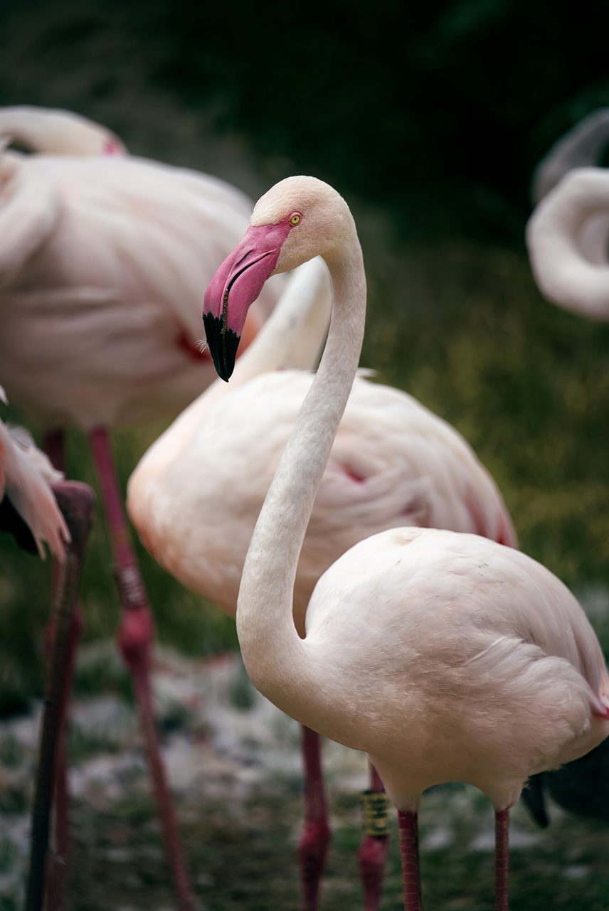 Gabriel miklos C0 Gw Ast RU g unsplash